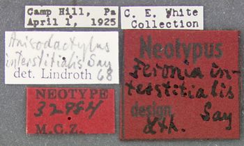 Media type: image;   Entomology 32984 Aspect: labels